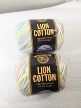 Lion Brand cotton yarn x2 Sherbert Swirl #298 pastel pink blue green variegated - £22.01 GBP