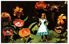 Alice in Wonderland The Mickey Mouse Revue Disney World Florida Postcard Posted - £5.30 GBP