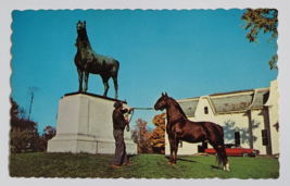 1971 THE MORGAN HORSE VERMONT VINTAGE STAMPED AND DATED POSTCARD EISENHO... - £9.56 GBP