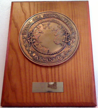 USN Naval Sea Support Center Atlantic Named 1984 Brass Commemorative Plaque - $40.00