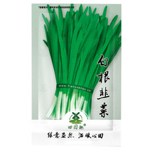 1000 pcs Chinese Garlic Chives Seeds | USA Garden Asian Herb Green Onion Leek Se - £5.48 GBP