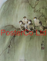 Young Birds (Oriental Art) - Chow Chian-Chu &amp; Chow Leung Chen-Ying - Framed Plat - £40.11 GBP