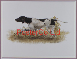Pointer (Dog) - Joel Kirk - Felix rose 1988 - Framed Print - 12&quot;H x 16&quot;W&quot; - £40.01 GBP