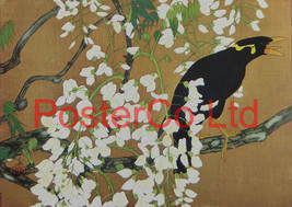 Japanese Black Mynah and Wisteria (Oriental Art) - Rakusan Tsuchiya - Framed Pla - £40.76 GBP