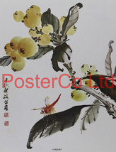 Loquat (Oriental Art) - Chow Chian-Chu &amp; Chow Leung Chen-Ying - Framed Plate - 1 - £40.11 GBP