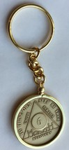 Wendells 6 Month AA Sobriety Chip In Removable Gold Plated Keychain Holder - $12.86