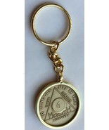 Wendells 6 Month AA Sobriety Chip In Removable Gold Plated Keychain Holder - $17.64 CAD