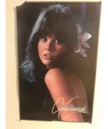 Linda Ronstadt Vintage 1977 Concert Poster. Very Good Condition. Bright ... - $171.16 CAD
