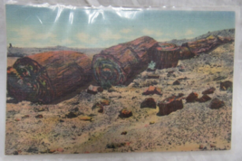 Curt Teich Linen Postcard Petrified Forest Arizona Logs Of Stone P.F-37 - £2.31 GBP