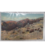 Curt Teich Linen Postcard Petrified Forest Arizona Logs Of Stone P.F-37 - $56.46 MXN