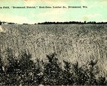 Rye Field Drummond District Rust-Owen Lumber Co Drummond WI 1910s Postca... - $15.79