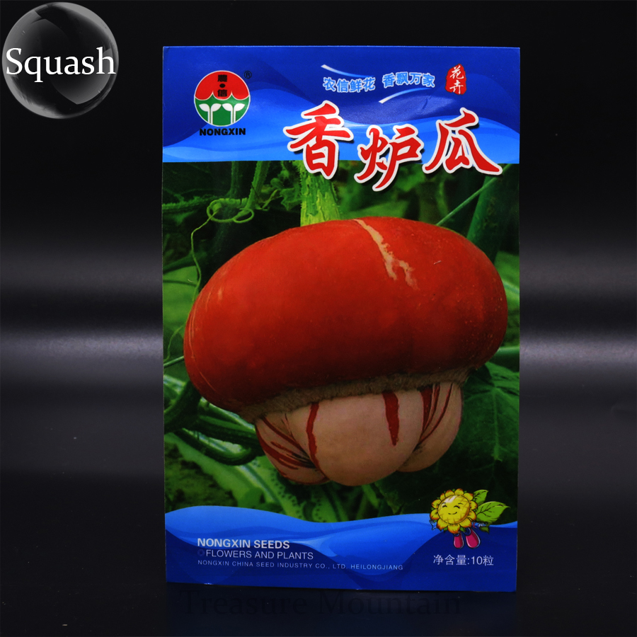 Cucurbita Maxima Incense Burner Squash Ornamental Fruit Seeds Pack 10 Se... - $7.16
