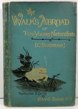 The Walks Abroad of Two Young Naturalists Charles Beaugrand - £12.59 GBP