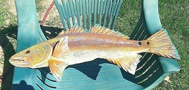 Saltwater Red Drum, Single Side Carvings, 25 Inch ,** For Sale, 2020** - £79.02 GBP