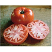 USA Seller Valley Girl Tomato Seeds Fast Shipping - £9.57 GBP