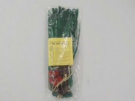 Infant 1-5 Yr Hawaii Hula Set Green Grass Skirt Top Shell Lei Redhairflower Nwot - £6.38 GBP