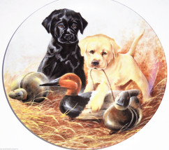 Labrador Retrievers Collector Plate 1988 A Perfect Set United Kennel Clu... - £39.29 GBP