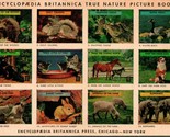 Vtg Advertising Postcard Encyclopedia Britannica Britano&#39;s City of Paris - $14.80