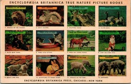 Vtg Advertising Postcard Encyclopedia Britannica Britano&#39;s City of Paris - £11.61 GBP