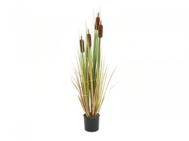 EUROPALMS Cattails, Artifical Plant,59 1/8in - £73.06 GBP