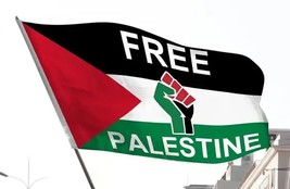 Free Palestine Flag 3 ft x 5 ft Palestine National Flag With Fist NEW! - £4.69 GBP
