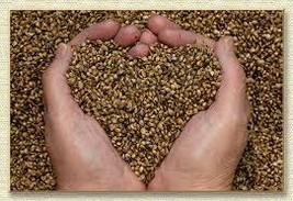 Haunted Emergency 911 SEEDS of LOVE spell cast potent and powerful supernatural - £60.80 GBP