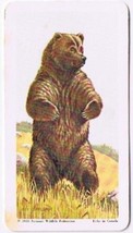 Brooke Bond Red Rose Tea Card #31 Grizzly Bear North American Wildlife I... - $0.98