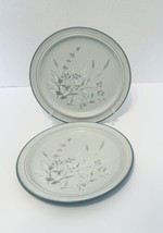 Noritake Stoneware Woodstock Gray &amp; Taupe Wild Grasses Two Salad Plates Japan - £15.02 GBP