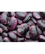 Scarlet Emperor Runner Beans 10 Seeds Heirloom Vine Easy Grow Colorful - $3.18