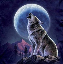 Wolf And Moon Cross Stitch Pattern***LOOK*** - £2.35 GBP