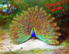 Framed canvas art print giclée peacock and peacock butterfly archibald t... - £14.19 GBP+