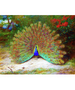 Framed canvas art print giclée peacock and peacock butterfly archibald t... - $17.82+