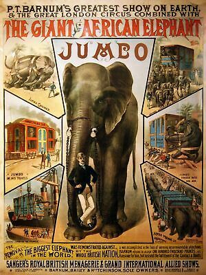 8517.Decoration Poster.Home Room wall art design.Jumbo Giant African elephant