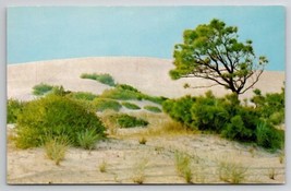 Nags Head NC The Ever Drifting Sand Along Dare County Coast Postcard D37 - $4.95