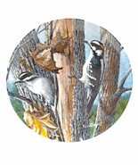 Bradford/Knowles &quot;DOWNY WOODPECKER&quot; Birds of Your Garden Beautiful 8.5&quot; ... - $364.69 MXN