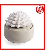 White Succulent Porcelain Essential Oil Diffuser with 15ml Peppermint Oi... - $627.36 MXN