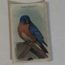 Arm &amp; Hammer Useful Birds Of America Antique #10 Eastern Bluebird VTC2 - £2.97 GBP