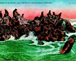 Seals on Rocks Near Cliff House San Francisco California CA UNP DB Postc... - $2.92