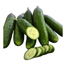 JGBOS Sell 25 Beit Alpha Cucumber Seeds Early 55 Days Maturity Crisp And Sweet - £6.96 GBP