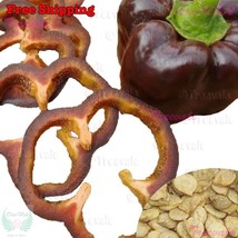 KKG Sweet Chocolate Bell Fresh Garden - $7.89