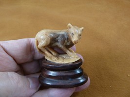 tb-wolf-15 tan shy little Wolf Dog TAGUA NUT palm figurine Bali love wol... - £40.61 GBP