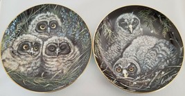 Danbury Mint Collector Plates Baby Owls Short-Eared & Great Grey By Dick Twinney - $23.38