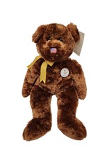 Ty Beanie Baby - CHAMPION (ITALY) the Bear Fifa World Cup Soccer - MWMT - $13.80