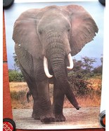 ELEPHANT 16*22 INCH 1982 POSTER PRINT RW#26 RICHARD WM. KING CAMERIQUE P... - €25,61 EUR