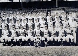 1941 Chicago Cubs 8X10 Team Photo Baseball Mlb Picture - $4.94