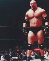 GOLDBERG 8X10 PHOTO WRESTLING PICTURE WWF WWE - £3.93 GBP
