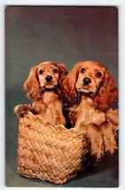 Cocker Spaniel Puppy Dogs Wicker Basket Postcard Chrome Greetings From I... - $13.78