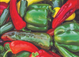 Pepper Exotic Sweet &amp; Spicy Mix 40-70+ Organic Seeds - £6.72 GBP