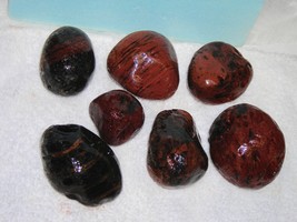 Lot Of 7 Mahogany Obsidian Rocks--Volcanic Glass--From Davis Creek, Ca - $8.99