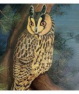 Long Eared Owl Art Print Color Plate Birds Of Prey Vintage Nature 1979 D... - $636.73 MXN